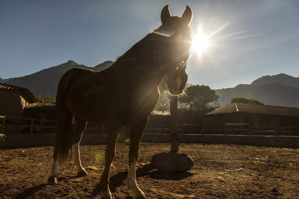 Sol Y Luna - Relais & Chateaux Sacred Valley Buitenkant foto